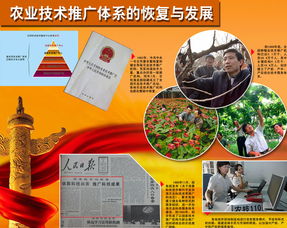 農業技術推廣體系的恢復與發展